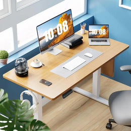 Electric Standing Desk Adjustable Height, 48x24 Inch Sit Stand Up Home Office Desks Computer Workstation PC Work Table with 3 Me